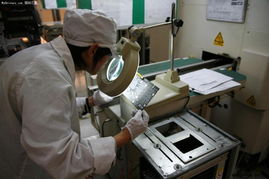 本土品牌扬帆出海，七彩虹成立德国分公司布局欧洲市场